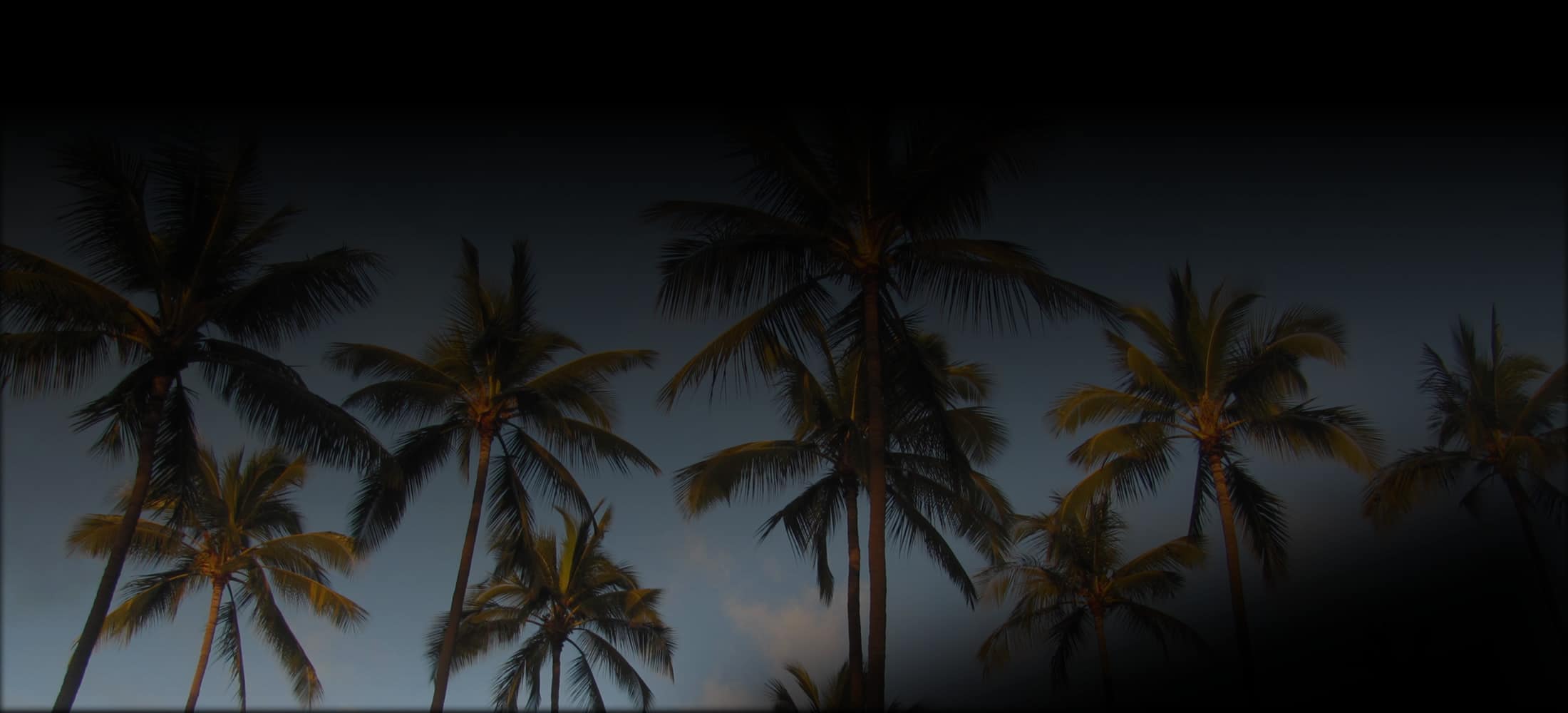 Palms